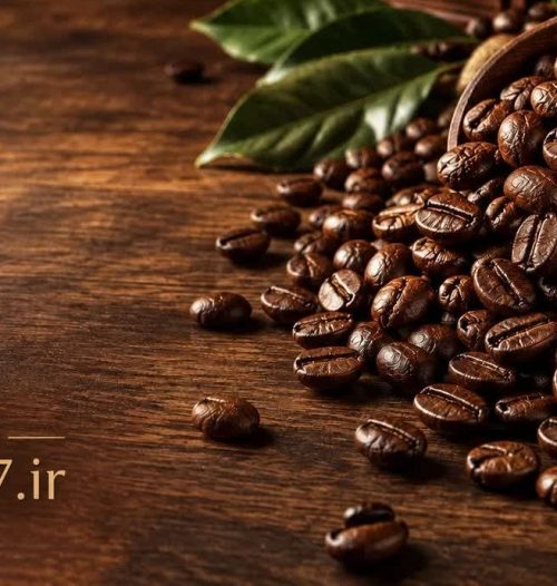 تفاوت قهوه عربیکا و روبوستا